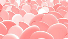 Digestion in the goat