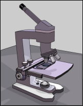 Microscope
